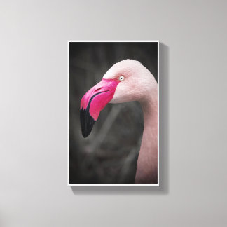 Flamingo Canvas Print