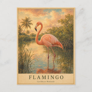 Flamingo Caribbean Wetlands VINTAGE Postcard