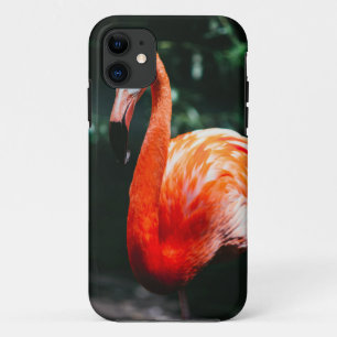 Flamingo Case-Mate iPhone Case