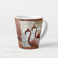 Flamingo Close Up Latte Mug