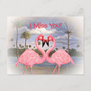 Flamingo Dance Postcard