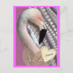 Flamingo Dream Postcard