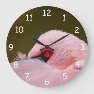 Flamingo Eye Large Clock