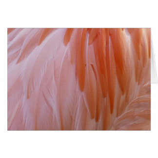 Flamingo Feathers in Shades of Pink