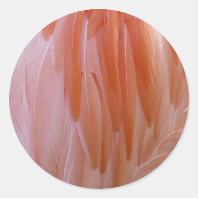 Flamingo Feathers in Shades of Pink Classic Round Sticker (Front)