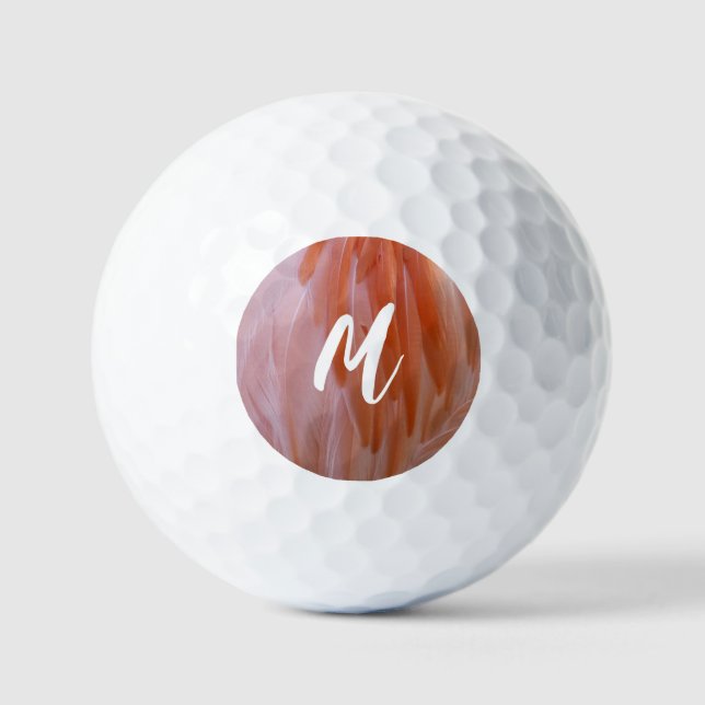 Flamingo Feathers in Shades of Pink Golf Balls (Front)