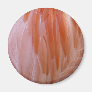Flamingo Feathers in Shades of Pink Magnet