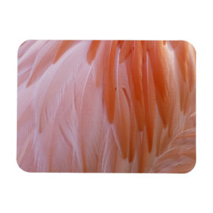 Flamingo Feathers in Shades of Pink Magnet