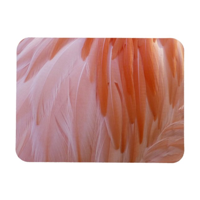 Flamingo Feathers in Shades of Pink Magnet (Horizontal)