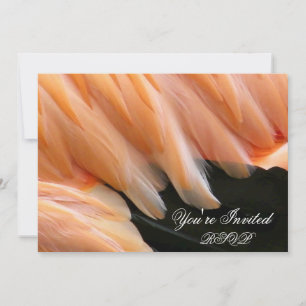 Flamingo Feathers_ Invitation