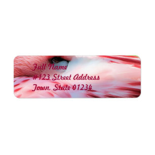 Flamingo Feathers Mailing Label