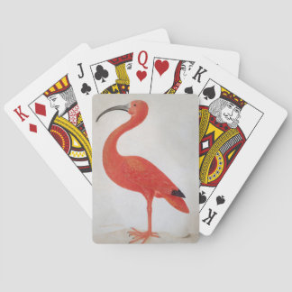 Flamingo - Fine Art Playing Card
