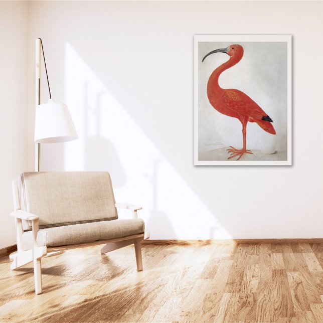 Flamingo - Fine Art Poster (Creator Uploaded)