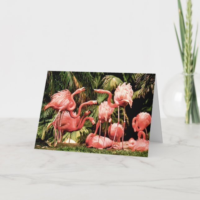 Flamingo Flamboyance Birthday Card (Front)