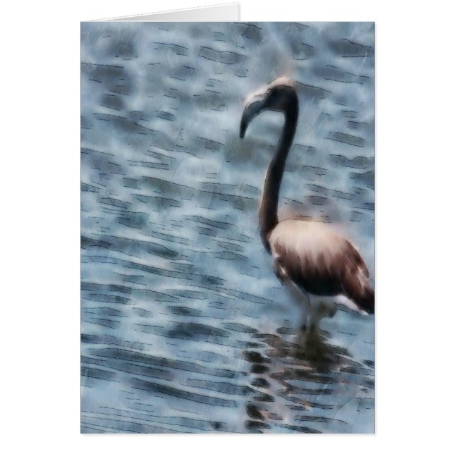 Flamingo Fledgling Watercolor (Front)