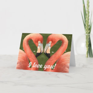 Flamingo - I love you! Card
