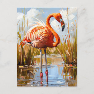 Flamingo in the Wild Postcard