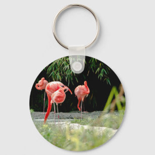 flamingo key ring