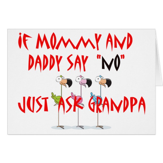 flamingo-kid (Front Horizontal)