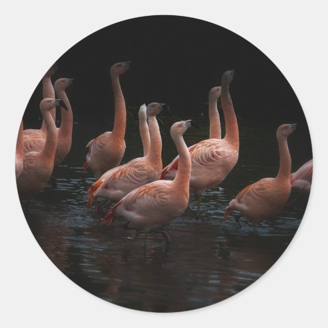 Flamingo lake classic round sticker (Front)
