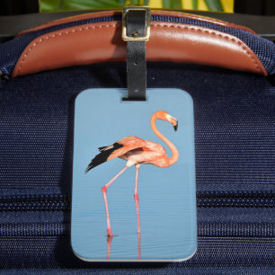 Flamingo Lake Walk   Birds Luggage Tag