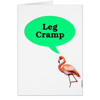 Flamingo Leg Cramp
