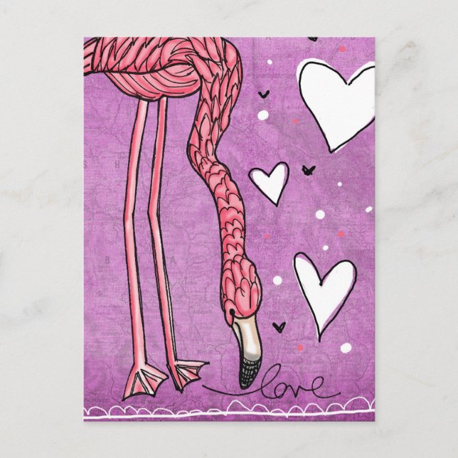 flamingo love postcard (Front)