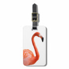 “flamingo”