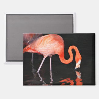 Flamingo Magnet