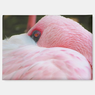 Flamingo magnet