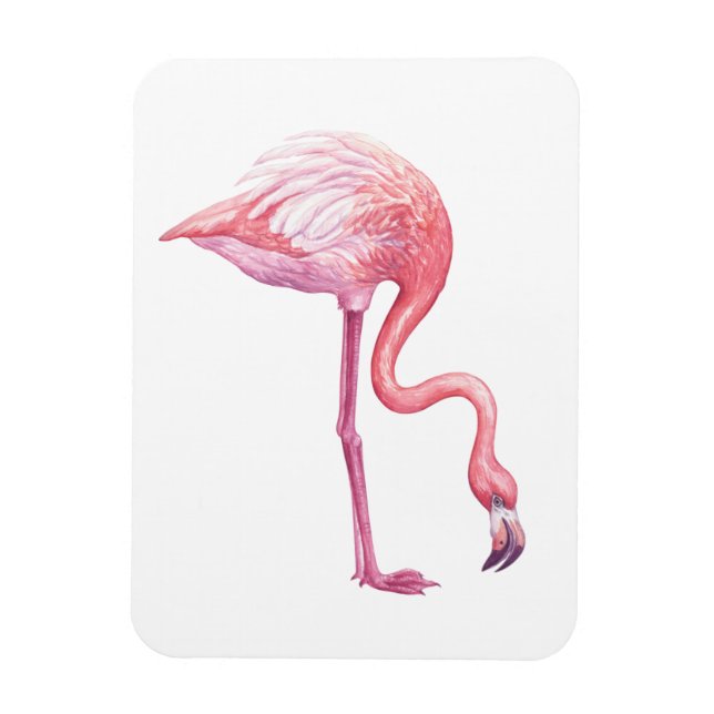 Flamingo Magnet (Vertical)