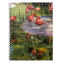 Flamingo Notebook