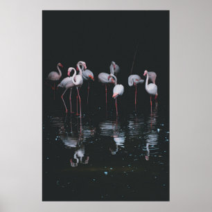 FLAMINGO ON DARK BACKGROUND POSTER
