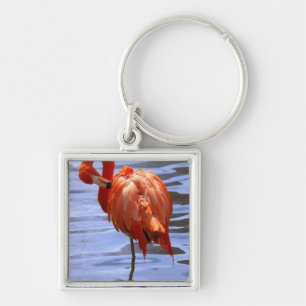 Flamingo on one leg in water key ring