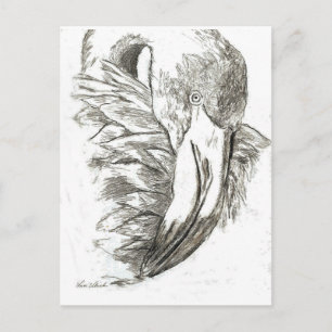 Flamingo patterns postcard