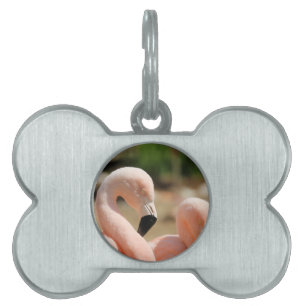 Flamingo Pet Name Tag