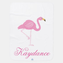 Flamingo & Pink and Paisley