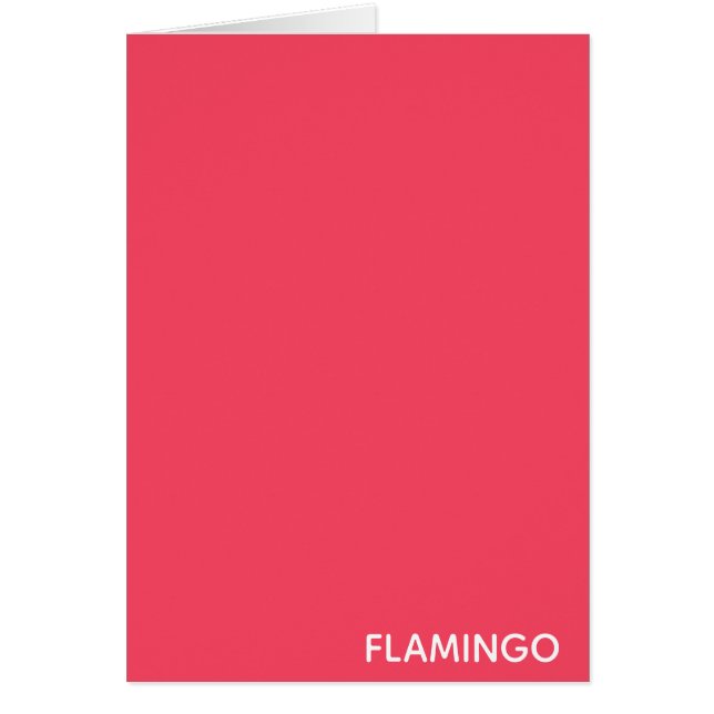 Flamingo pink colour name (Front)