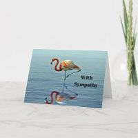 Flamingo Pink Reflection Wildlife Photo Sympathy