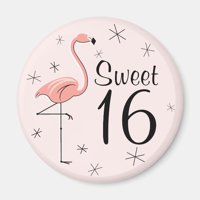 Flamingo Pink Sweet 16 magnet (Front)