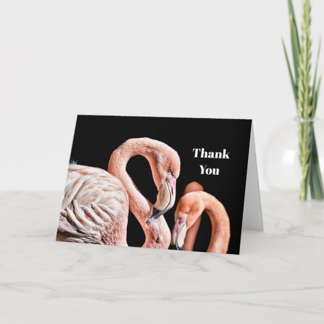 Flamingo Pink Wildlife Photo Thank You Card (Front)