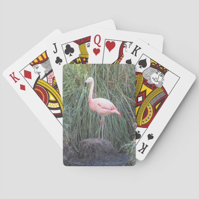 Flamingo Playing Cards (Back)