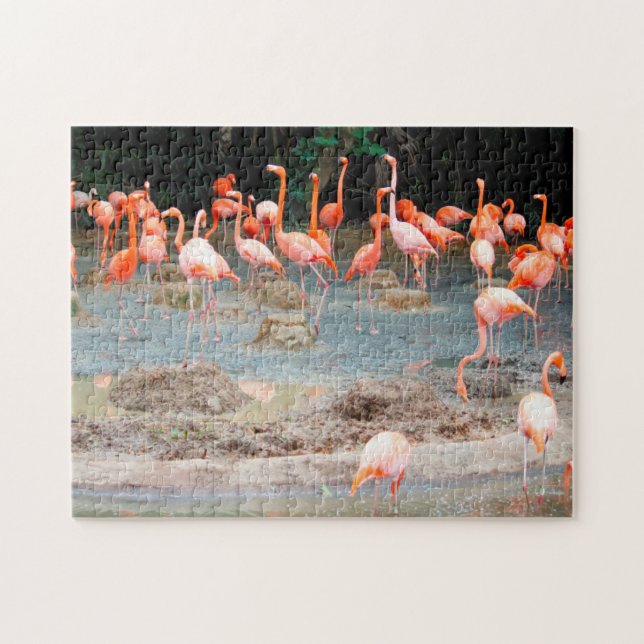 Flamingo Pond Singapore. Jigsaw Puzzle (Horizontal)