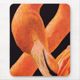 Flamingo Portrait Mouse Pad