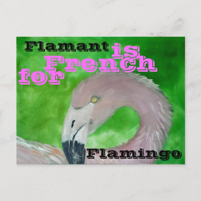 Flamingo Postcard (Front)