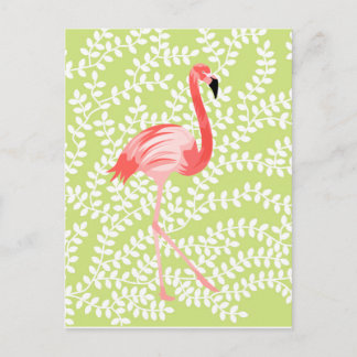 Flamingo Postcard