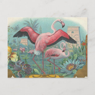 Flamingo Postcard