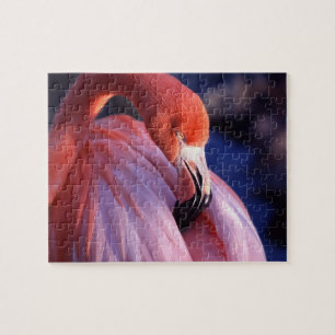 Flamingo Puzzle