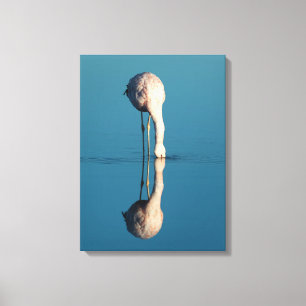 Flamingo Reflection, Laguna Chaxa, Atacama Canvas Print