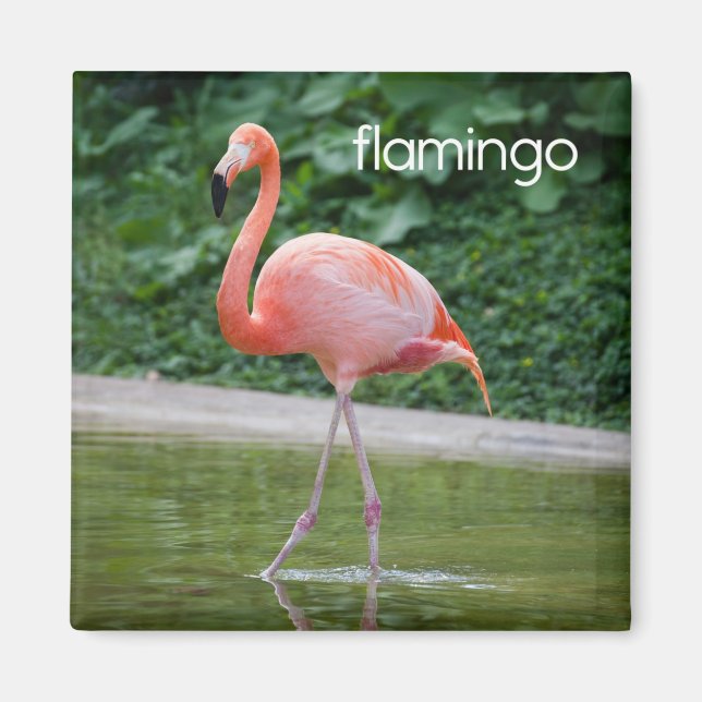 Flamingo Refrigerator Magnet (Front)